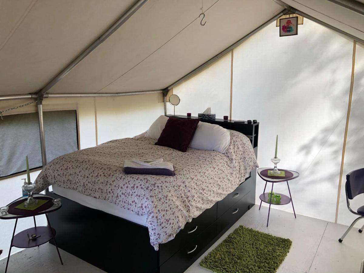 Hotel Vines And Puppies Glamping Hideaway à Jade City Extérieur photo